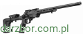 cz457_mdt_3d_p.png