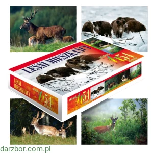 Puzzle Leśni Mieszkańcy 4x54 elementy
