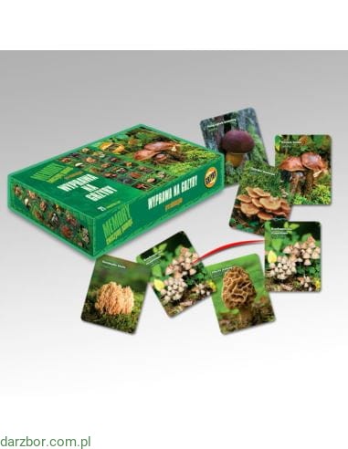 gra-memory-grzyby-wyprawa-na-grzyby.jpg