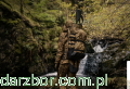Zrzut ekranu 2025-05-08 130630.png